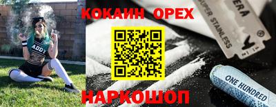 скорость Бердск