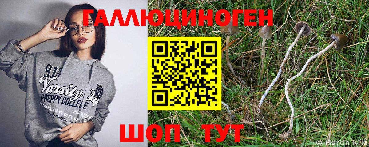 Галлюциногенные грибы MAGIC MUSHROOMS Коркино